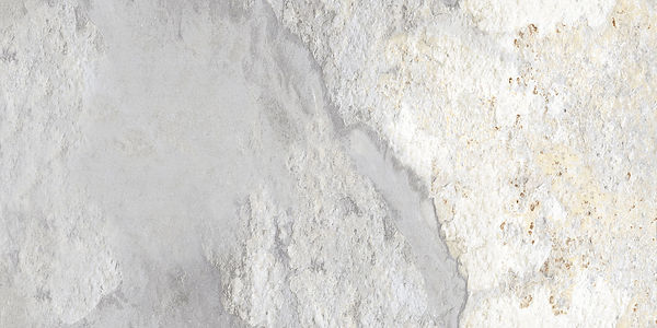 31a1b8_50feb26b77794bd2bb97bc5adb5eb6af~mv2