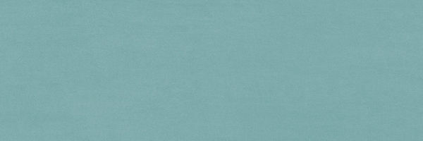 31a1b8_5ed5c901d62b44dab8ecc1f076c62016~mv2