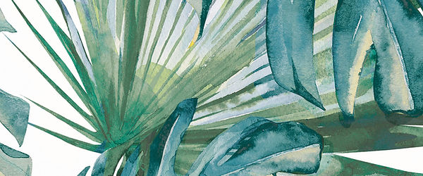 31a1b8_8c0fe06f3f604c05a867cf4c027ed75a~mv2