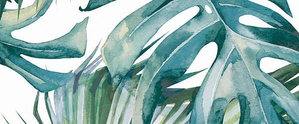 31a1b8_9409e21bc9ca418fab09af6df9163ad1~mv2