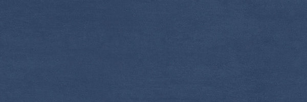 31a1b8_a2a7e04e9b6b4af1bf5b5d2207db6b05~mv2