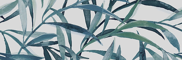 31a1b8_b25033a370484242a93f02a6bd799021~mv2