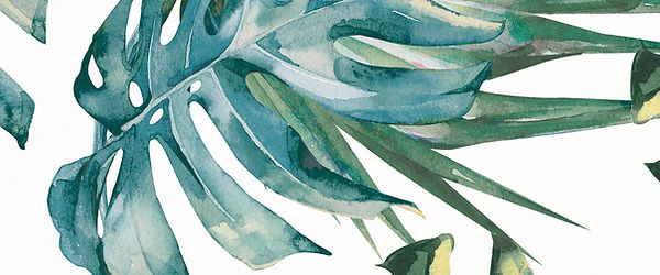 31a1b8_b8b56e097b9a446a87345901e558027d~mv2