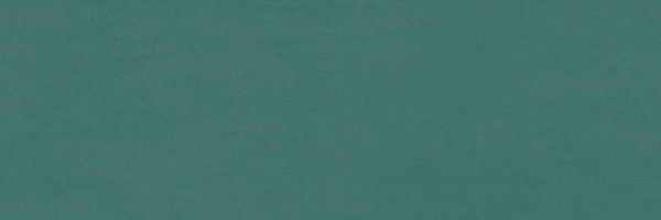 31a1b8_d285f62bbfbe4343ad6a88c42942c5ea~mv2