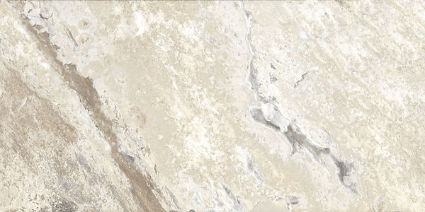 31a1b8_db571344433846e9af1a6cde7b358854~mv2