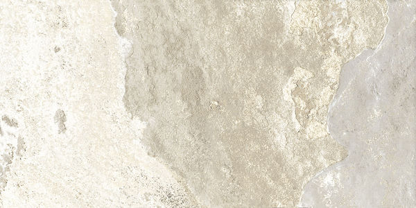 31a1b8_e17a726e8c084330adb31bd854960041~mv2