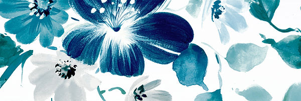 IFID04---FIJI---COMP_B (1)