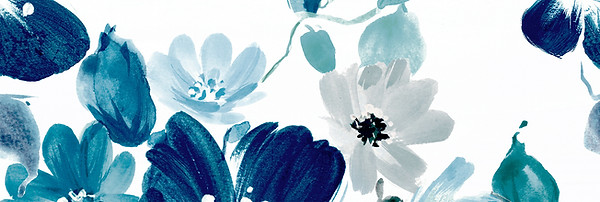 IFID04---FIJI---COMP_C (1)